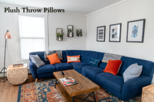 Plush Throw Pillows for living room 